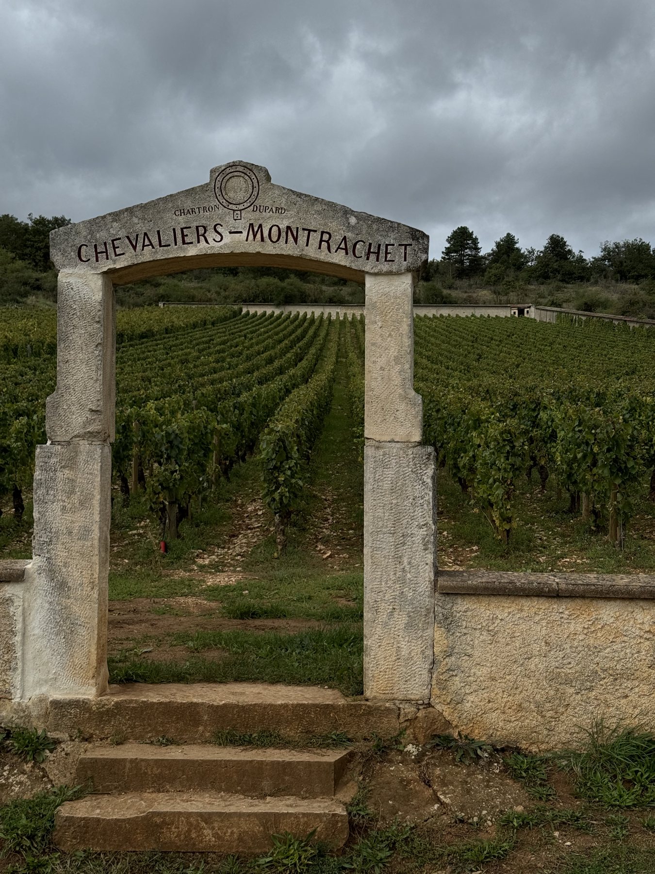 Η πέτρινη πύλη «Chevaliers-Montrachet» ανάμεσα στους αμπελώνες της Βουργουνδίας